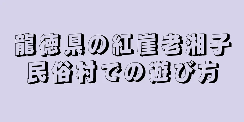 龍徳県の紅崖老湘子民俗村での遊び方