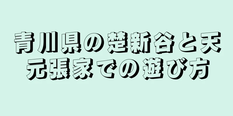 青川県の楚新谷と天元張家での遊び方