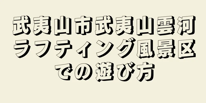 武夷山市武夷山雲河ラフティング風景区での遊び方