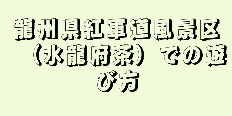 龍州県紅軍道風景区（水龍府茶）での遊び方