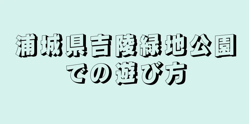 浦城県吉陵緑地公園での遊び方