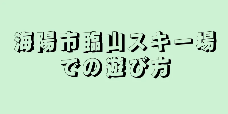海陽市臨山スキー場での遊び方