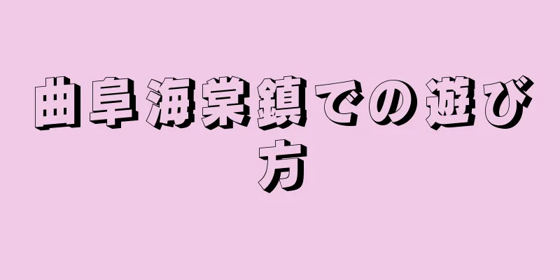 曲阜海棠鎮での遊び方