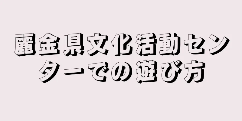 麗金県文化活動センターでの遊び方