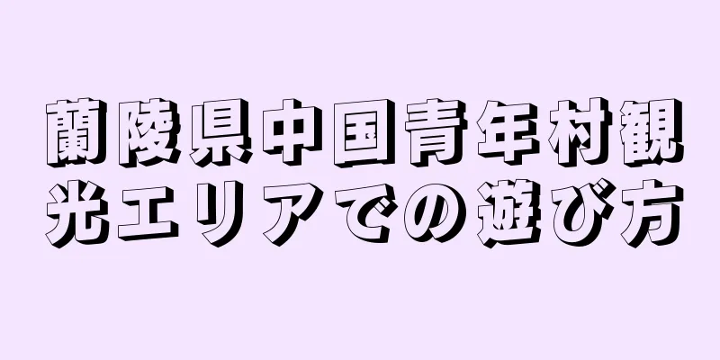 蘭陵県中国青年村観光エリアでの遊び方