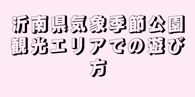 沂南県気象季節公園観光エリアでの遊び方