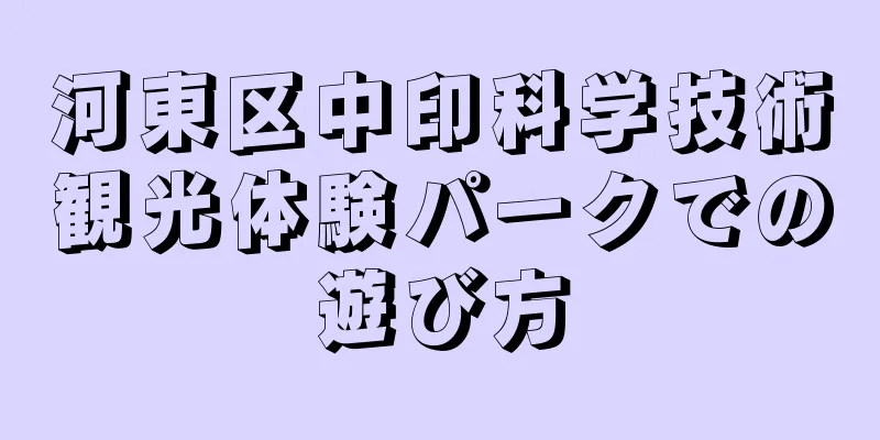 河東区中印科学技術観光体験パークでの遊び方