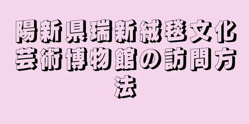 陽新県瑞新絨毯文化芸術博物館の訪問方法