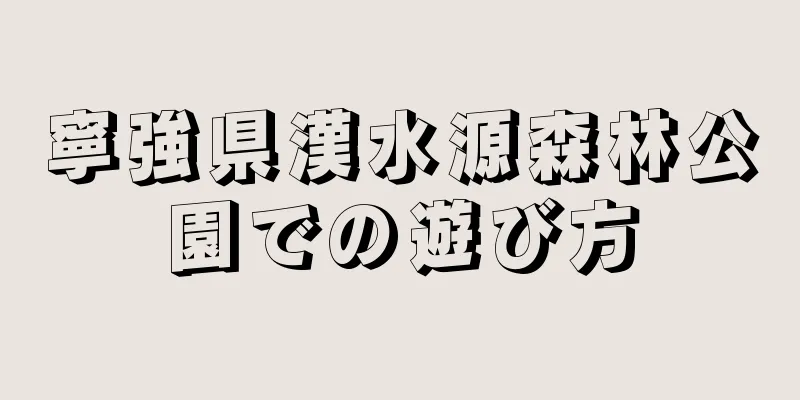 寧強県漢水源森林公園での遊び方