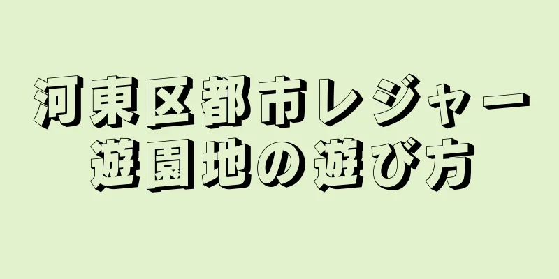 河東区都市レジャー遊園地の遊び方