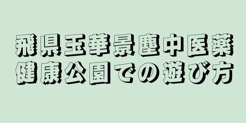 飛県玉華景塵中医薬健康公園での遊び方