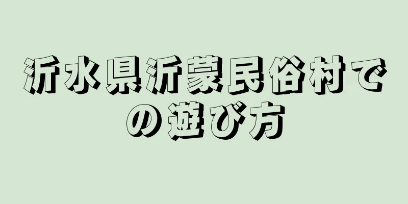 沂水県沂蒙民俗村での遊び方