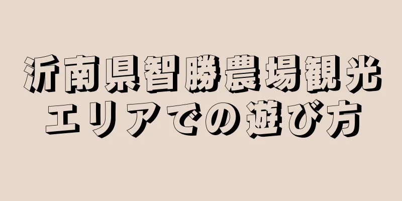 沂南県智勝農場観光エリアでの遊び方