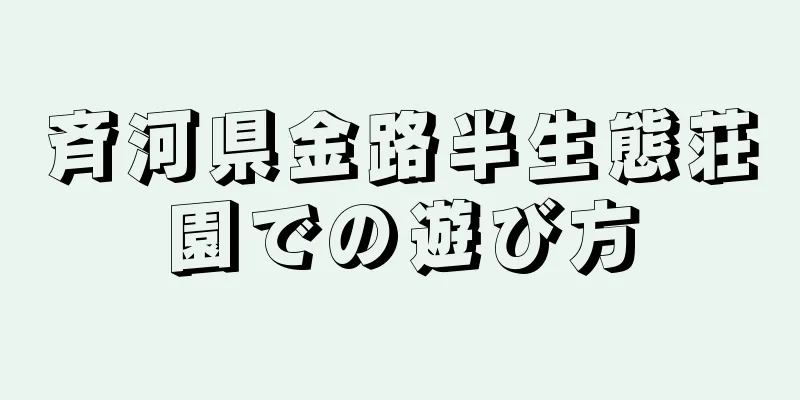 斉河県金路半生態荘園での遊び方