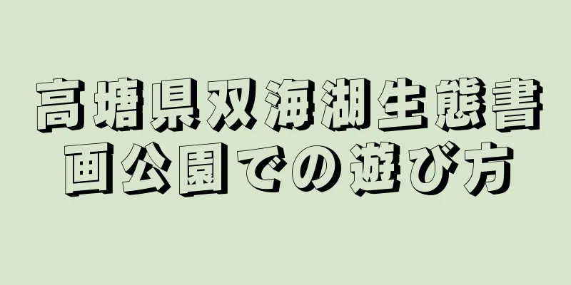 高塘県双海湖生態書画公園での遊び方