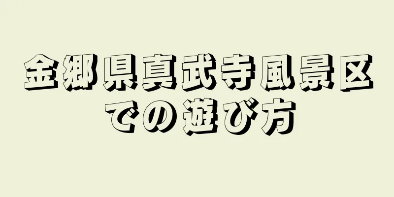 金郷県真武寺風景区での遊び方