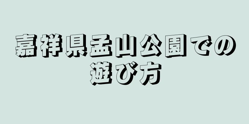 嘉祥県孟山公園での遊び方
