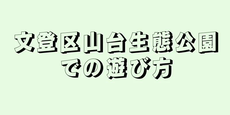 文登区山台生態公園での遊び方