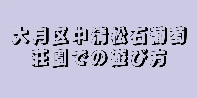 大月区中清松石葡萄荘園での遊び方