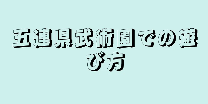 五連県武術園での遊び方