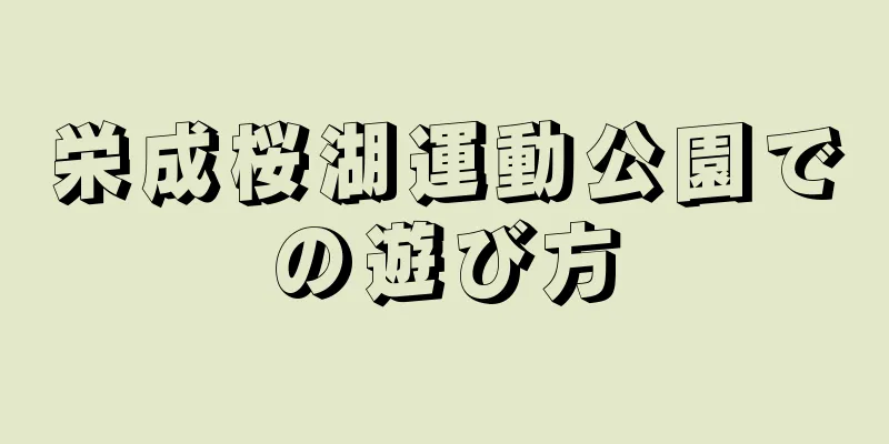 栄成桜湖運動公園での遊び方