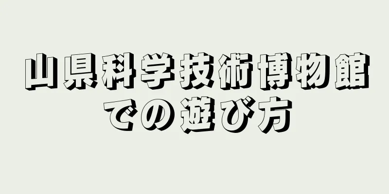 山県科学技術博物館での遊び方