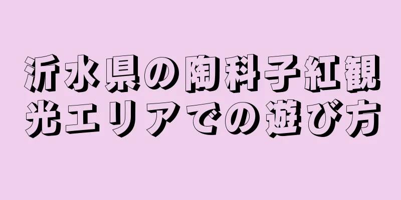 沂水県の陶科子紅観光エリアでの遊び方