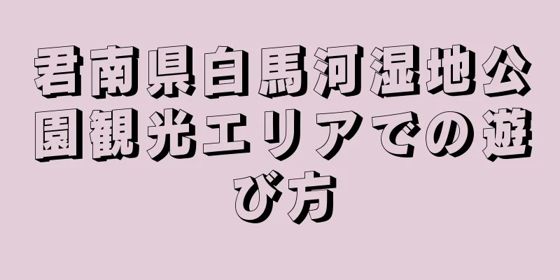 君南県白馬河湿地公園観光エリアでの遊び方