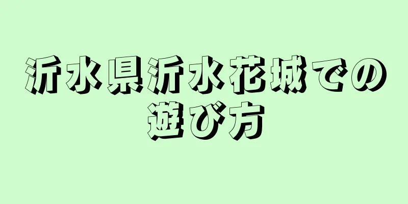 沂水県沂水花城での遊び方