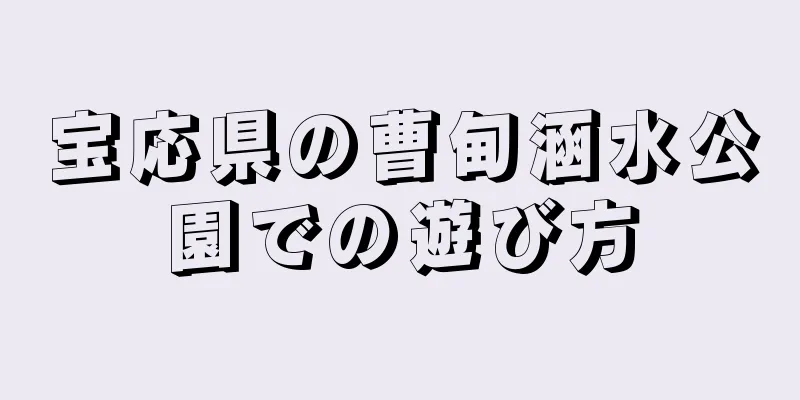 宝応県の曹甸涵水公園での遊び方