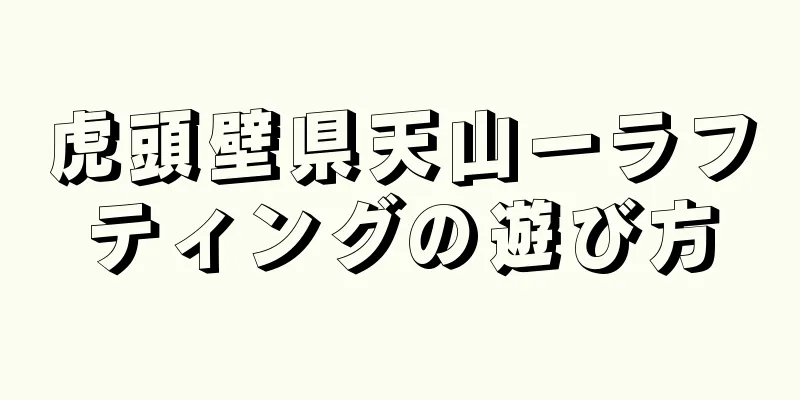 虎頭壁県天山一ラフティングの遊び方