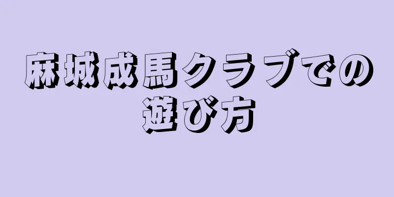 麻城成馬クラブでの遊び方