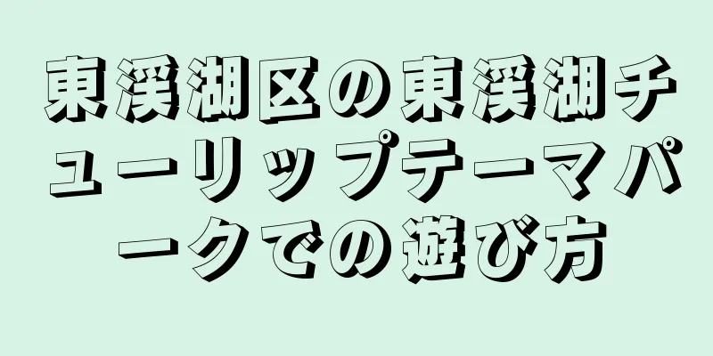東渓湖区の東渓湖チューリップテーマパークでの遊び方