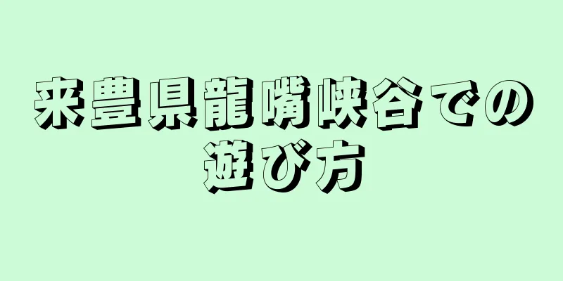 来豊県龍嘴峡谷での遊び方
