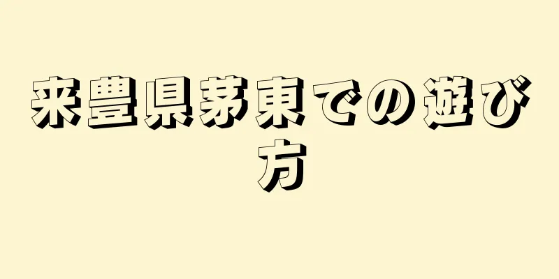 来豊県茅東での遊び方
