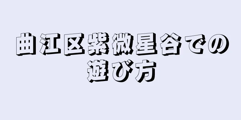 曲江区紫微星谷での遊び方