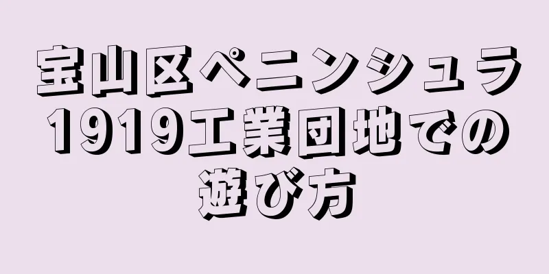 宝山区ペニンシュラ1919工業団地での遊び方