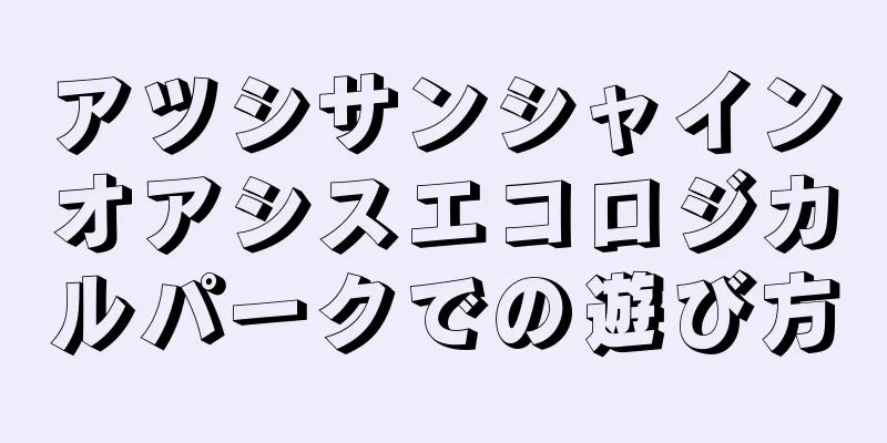 アツシサンシャインオアシスエコロジカルパークでの遊び方