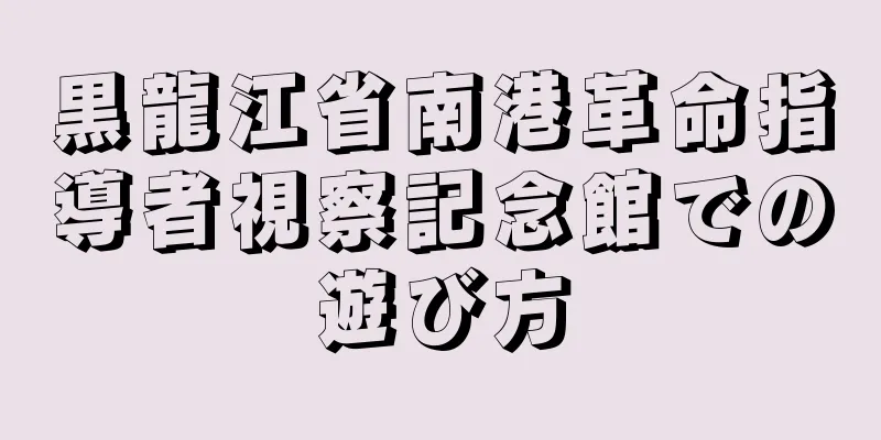 黒龍江省南港革命指導者視察記念館での遊び方