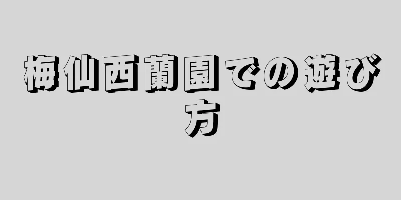 梅仙西蘭園での遊び方