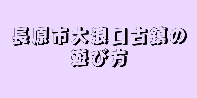 長原市大浪口古鎮の遊び方