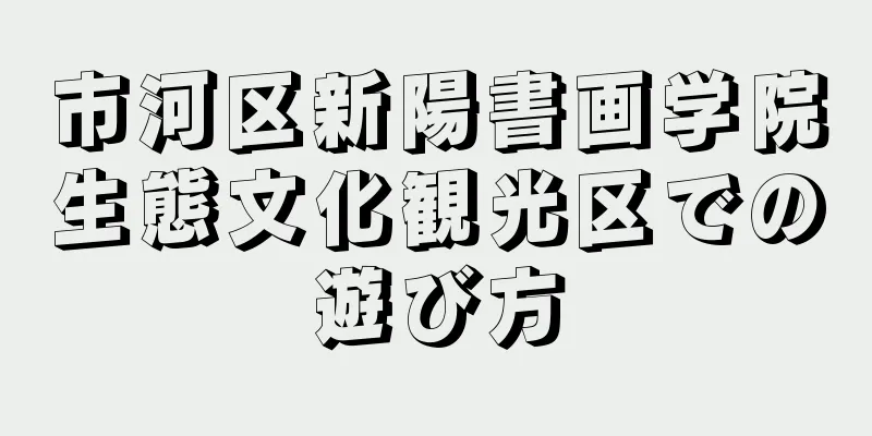 市河区新陽書画学院生態文化観光区での遊び方