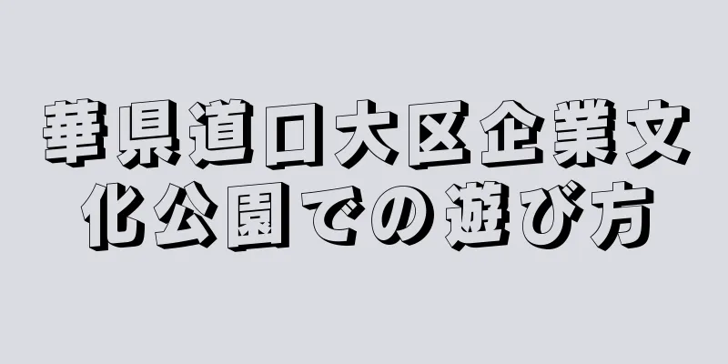華県道口大区企業文化公園での遊び方