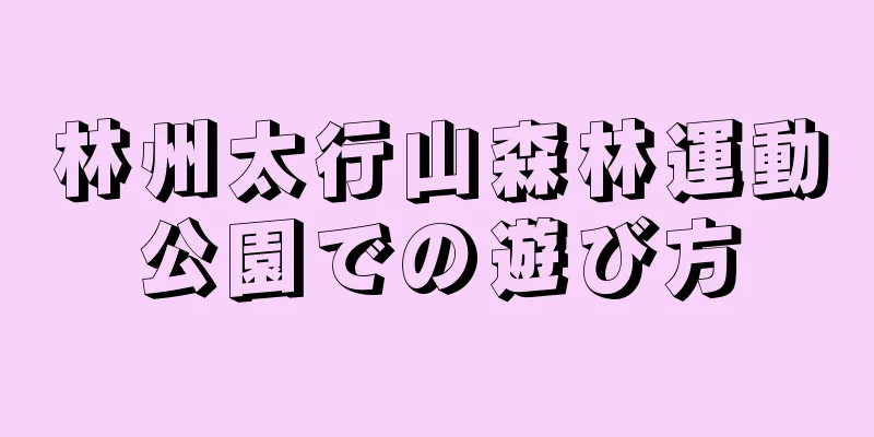 林州太行山森林運動公園での遊び方