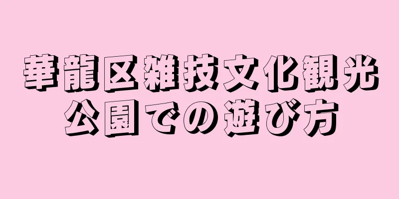 華龍区雑技文化観光公園での遊び方