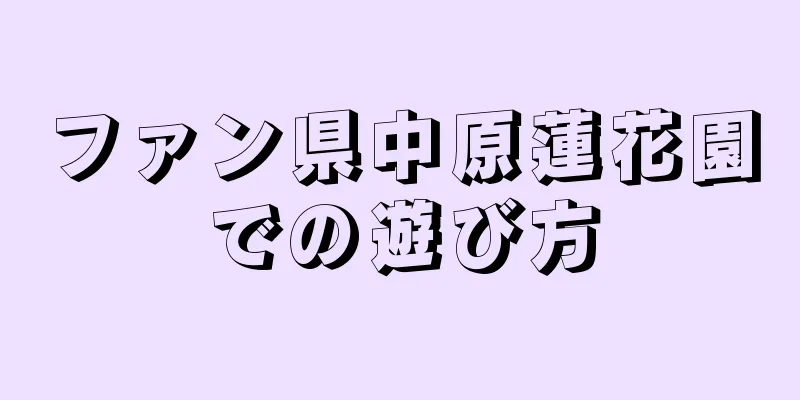 ファン県中原蓮花園での遊び方