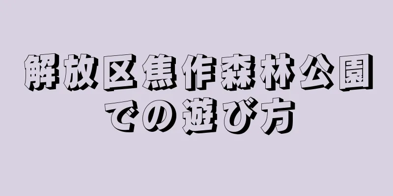 解放区焦作森林公園での遊び方