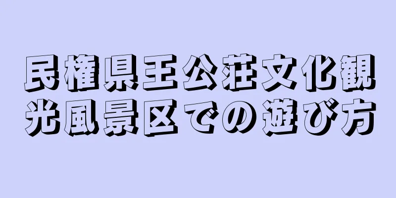 民権県王公荘文化観光風景区での遊び方