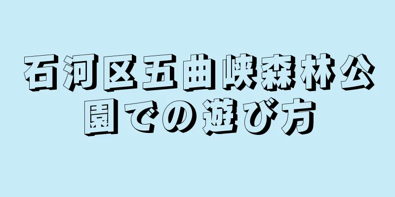 石河区五曲峡森林公園での遊び方