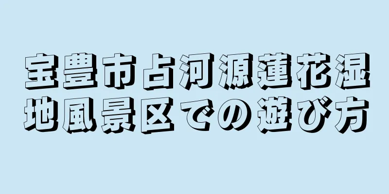 宝豊市占河源蓮花湿地風景区での遊び方